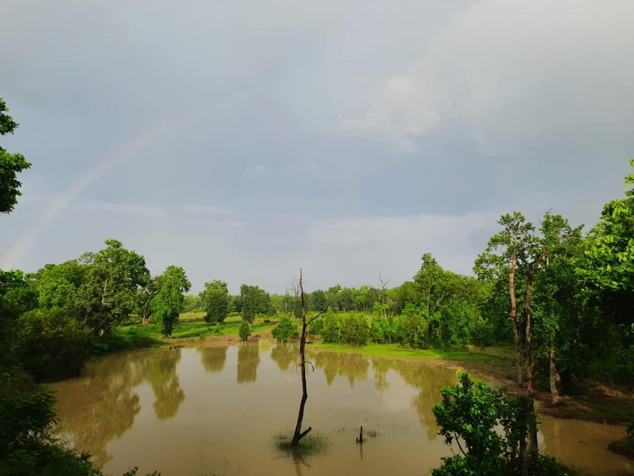 Emerald Tiger Retreat Tāla 外观 照片